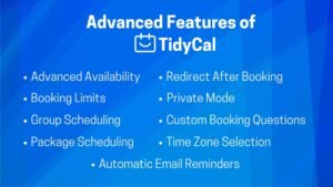 tidycal review