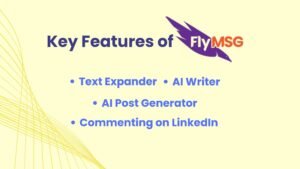 flymsg review